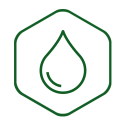 Blood & Lymphatic Formula
