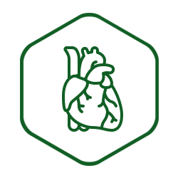 Cardiovascular Formula