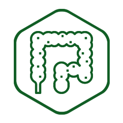 Colon & Digestive Formula