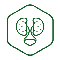 Kidney, Bladder & Adrenal Formula