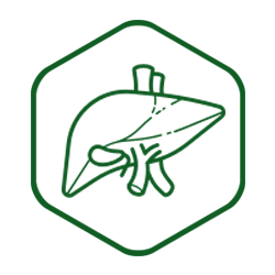 Liver, Gallbladder & Spleen Formula