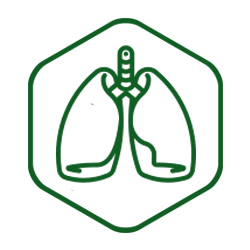 Lungs & Respiratory Formula